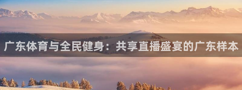 火箭直播在线观看免费：广东体育与全民健身：共享直播盛宴的广东样本