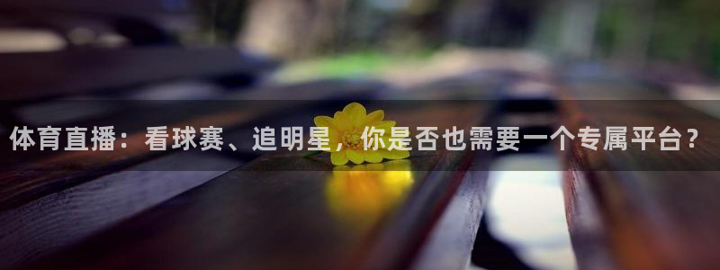 湖人火箭直播在线直播：体育直播：看球赛、追明星，你是否也需要一个专属平台？