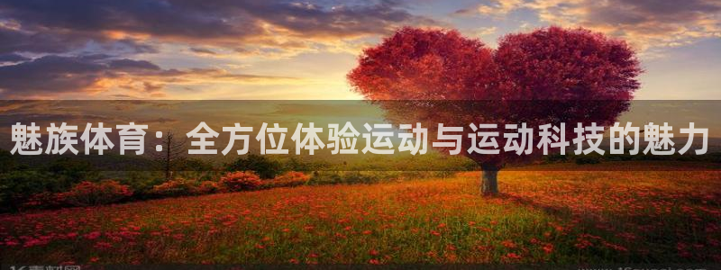 快船vs火箭直播：魅族体育：全方位体验运动与运动科技的魅力