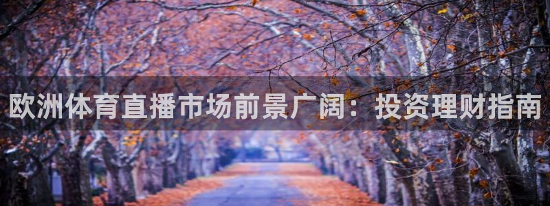 nba火箭直播视频在线直播：欧洲体育直播市场前景广阔：投资理财指南
