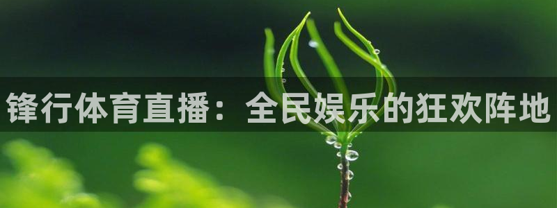 nba火箭直播免费观看：锋行体育直播：全民娱乐的狂欢阵地