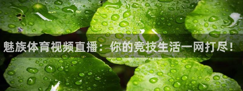 火箭直播在线直播观看0203：魅族体育视频直播：你的竞技生活一网打尽！