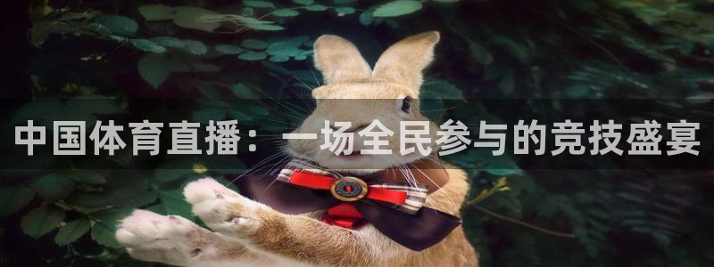 火箭直播体育：中国体育直播：一场全民参与的竞技盛宴