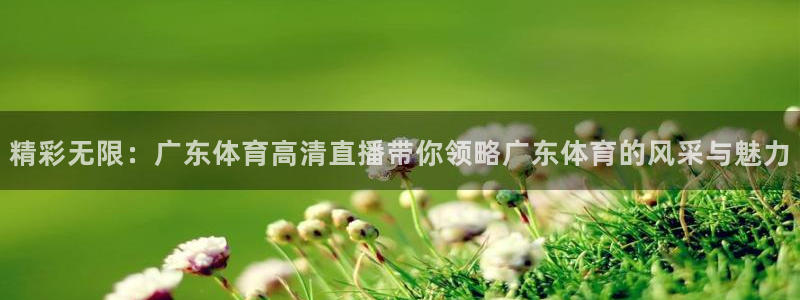火箭直播在线直播：精彩无限：广东体育高清直播带你领略广东体育的风采与魅力