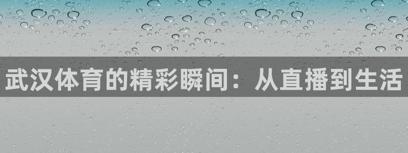 nba马刺火箭直播：武汉体育的精彩瞬间：从直播到生活