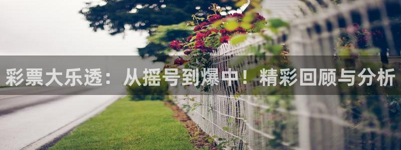 灰熊火箭直播在线观看：彩票大乐透：从摇号到爆中！精彩回顾与分析